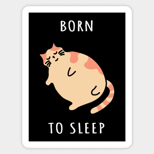 Cute chonky cat sleeping or taking a nap. Born to sleep kitty Sticker